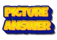 Picture answer game